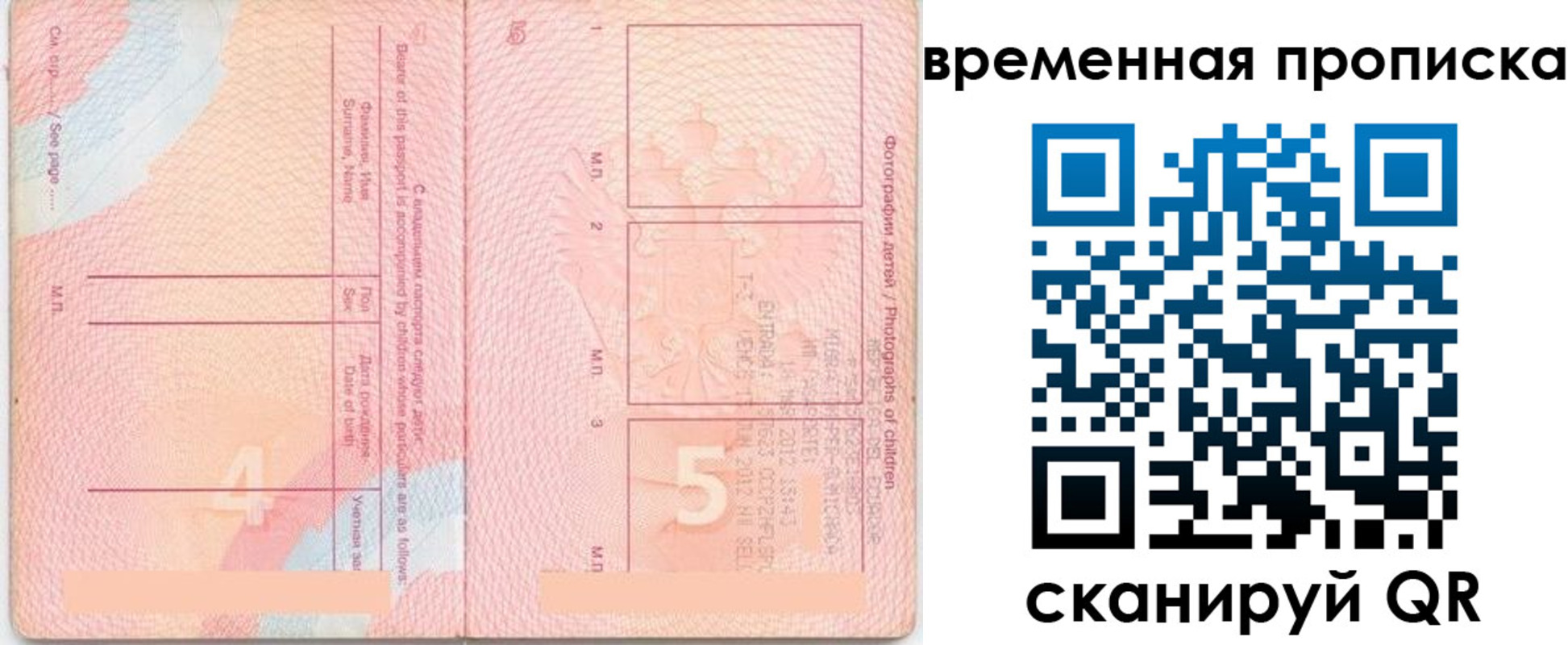 прописка для школы в Ростове